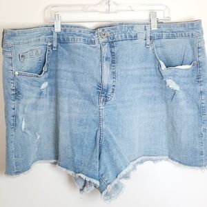 Torrid NWT Cut Off Jean Shorts Denim 26 Distressed